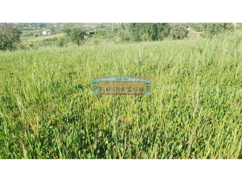 Foto d5e1ae44-9b8d-4e63-8614-ebebc9d1c4e6. Finca rústica a Centro Alhaurín el Grande