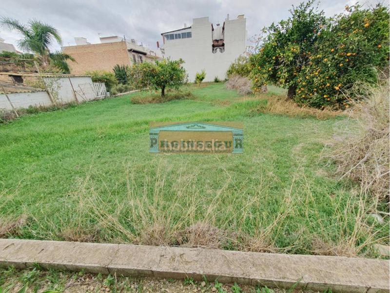 Foto 15248faf-09cd-4c43-8309-3b2f01298509. Finca rústica ps3647 en Centro Alhaurín el Grande