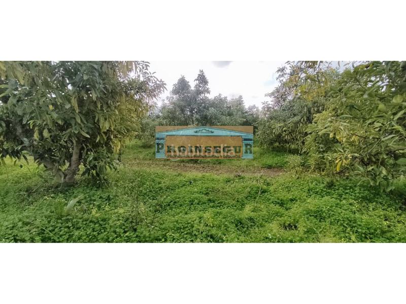 Foto 49f00e05-8841-460d-93ef-62e0671c9bfc. Finca rústica a Centro Alhaurín el Grande