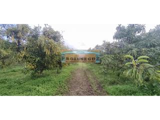 Finca rústica  Dehesa. Terreno en venta en centro