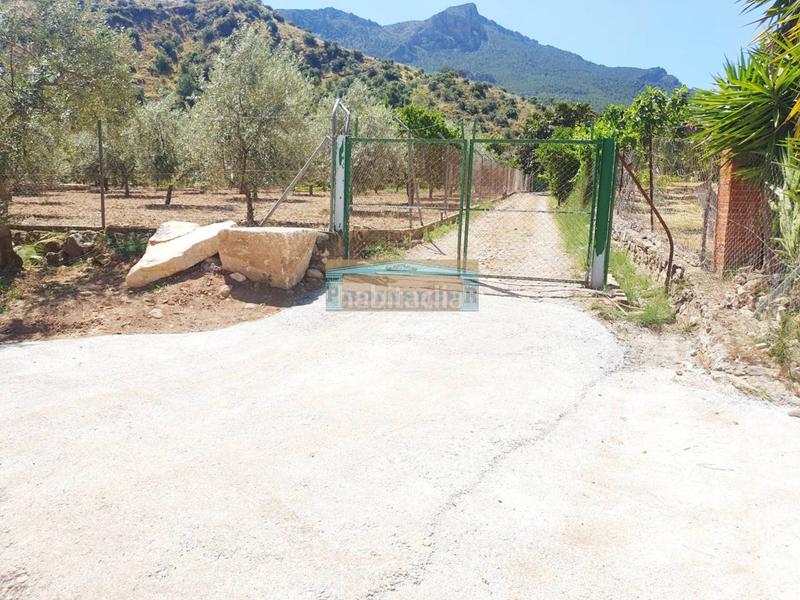 Foto 6aeaf478-dc8c-4d8a-b954-7ab782c5f2dd. Propriété dans Ardales