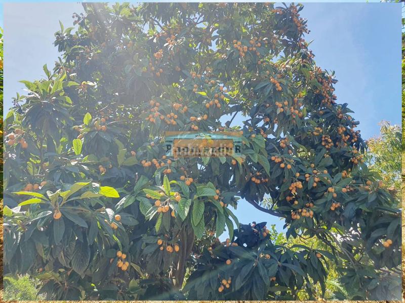 Foto 6ed4a04d-e6da-4258-b82e-01a89d587fc6. Propriété dans Ardales