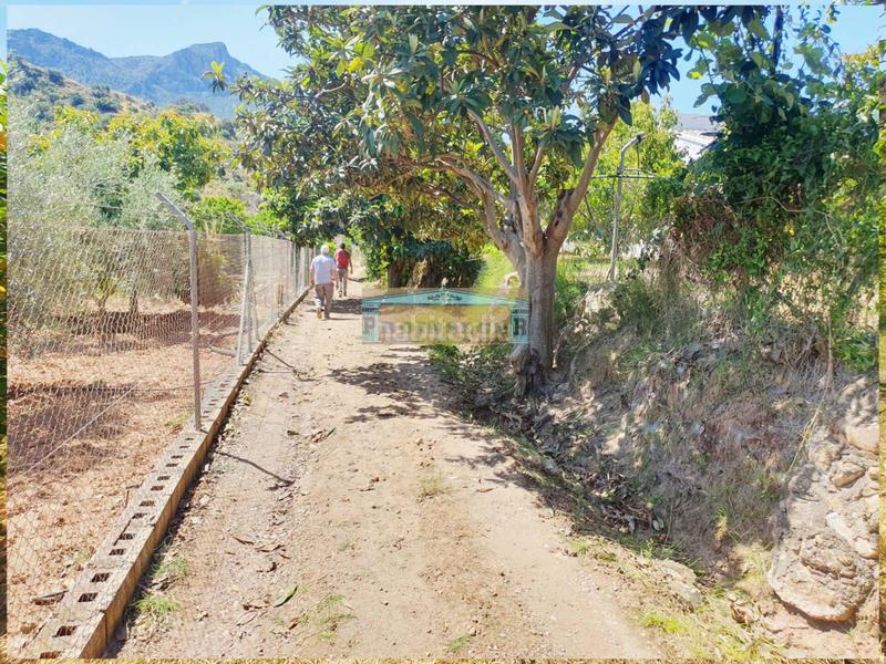 Foto 748c295b-504a-44c1-b3c2-cca4edaa172f. Propriété dans Ardales