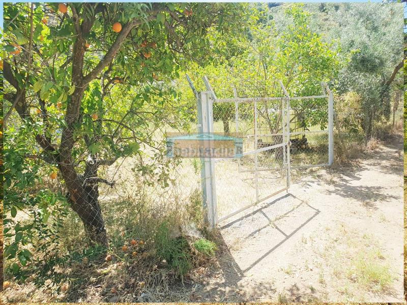 Foto 985f7c1b-e18f-4c4b-9deb-c8f88446f6e0. Propriété dans Ardales