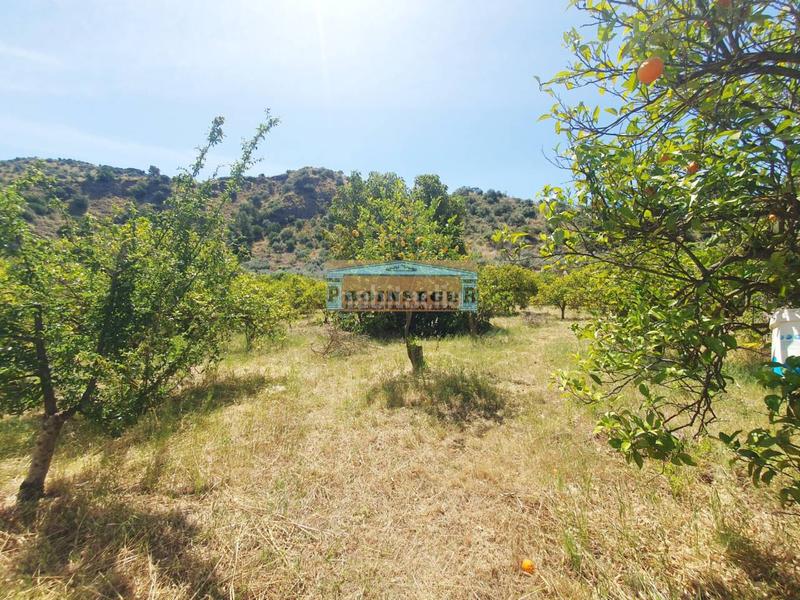 Foto ba83f264-7d23-48b7-957a-f19bbe939e4a. Propriété dans Ardales