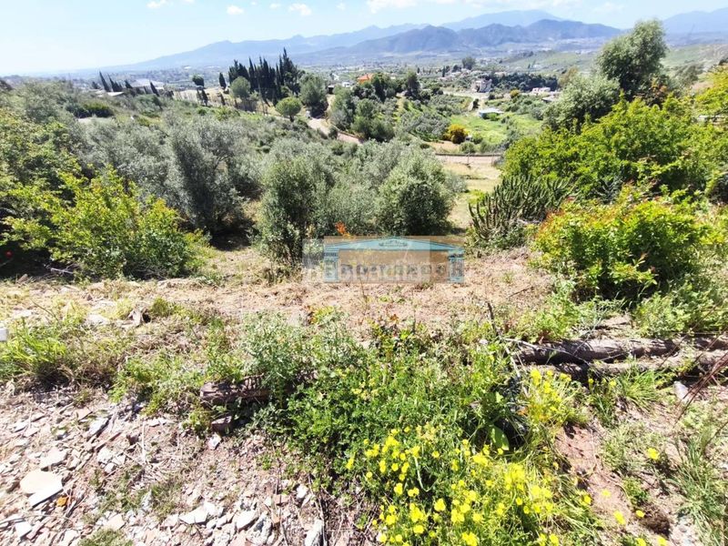 Foto 7110d31e-a42f-4adf-a5bc-94c7b6f78b0b. Casa a Sexmo Cártama