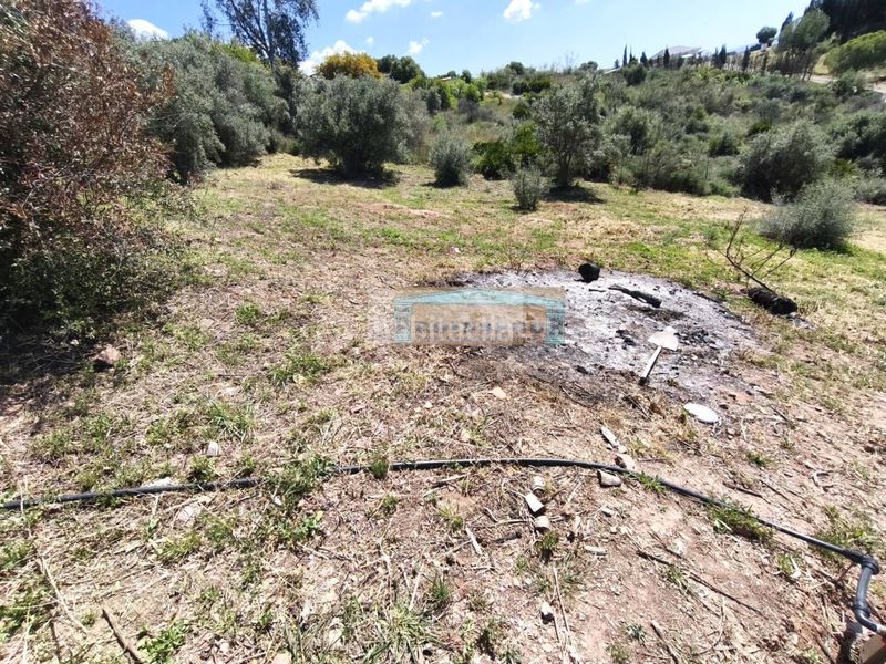 Foto be5f96f9-f7ac-49bf-858a-b1ae25c268ac. Casa a Sexmo Cártama