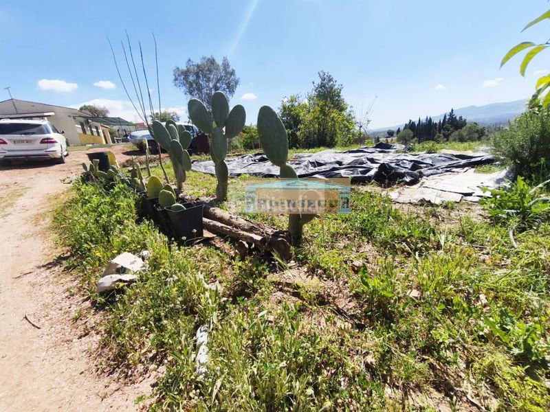 Foto cb0f972d-c9fe-4477-901d-a41a3421cf78. Casa a Sexmo Cártama