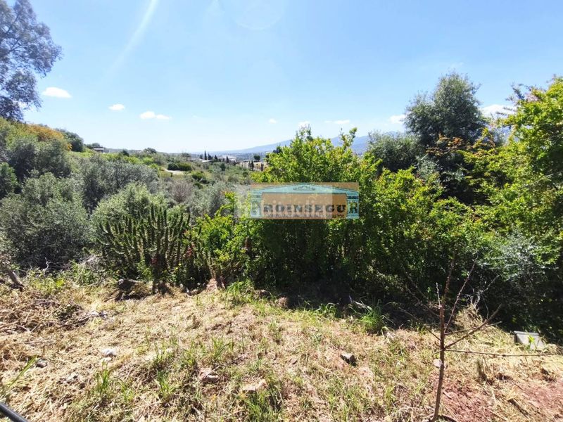 Foto e850c079-91bf-4746-a0d3-d6fa709b161c. Casa a Sexmo Cártama