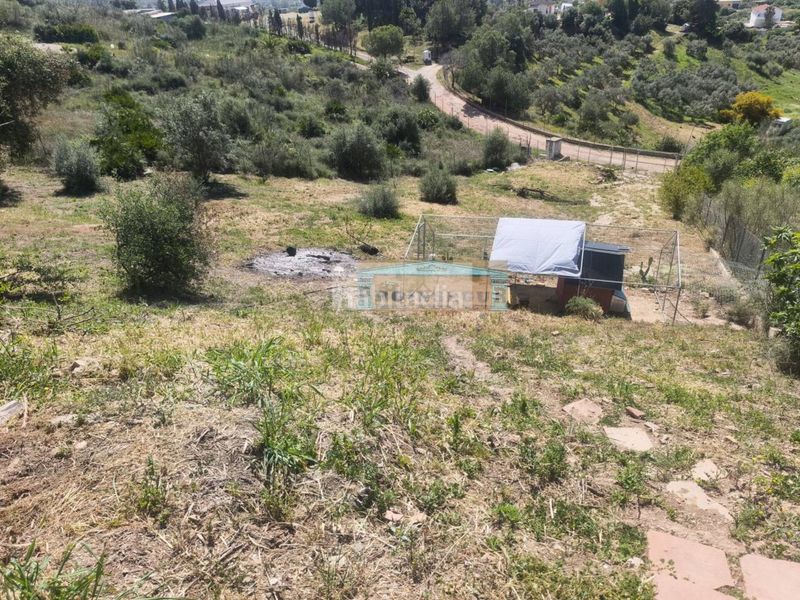 Foto fa76e421-e1a5-41cd-942b-11d1f8da902c. Casa a Sexmo Cártama