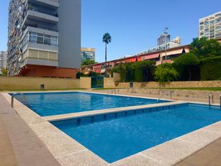 Miete Studiowohnung in Juzgados - Plaza de Toros. Estudio remodelado en el corazón de benidorm