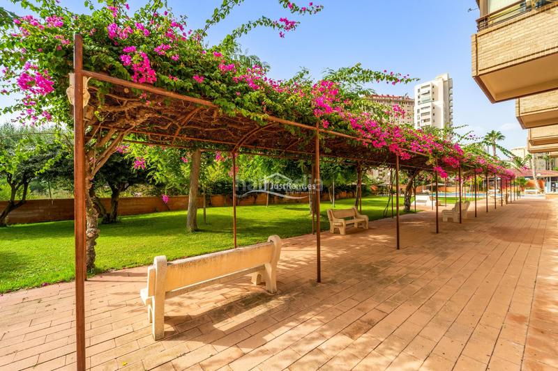 Foto de79e096-946d-4d73-a105-333285f8f35d. Alquiler piso  de 2 dormitorios con terraza en cala en Finestrat