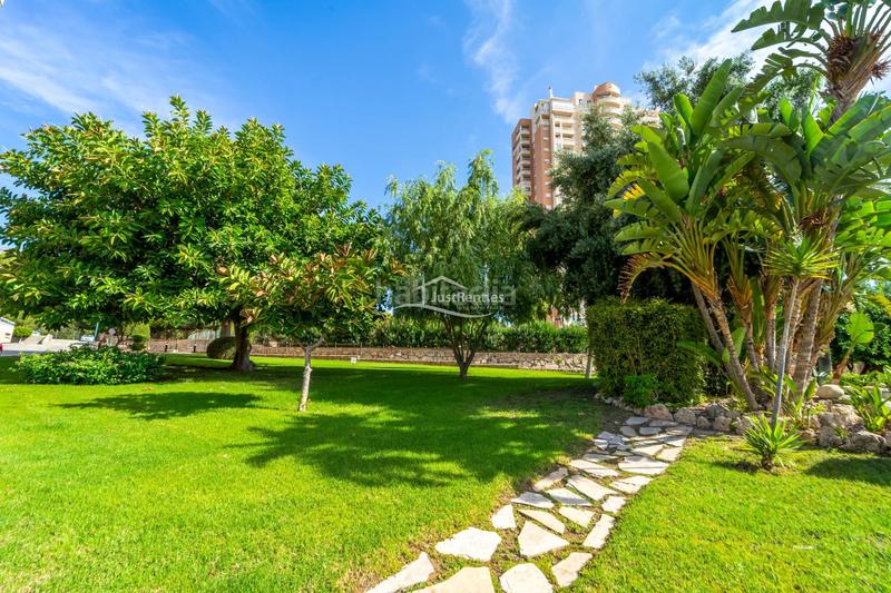 Foto 600a2669-dfa8-4ec4-b74c-aef206af2e84. Alquiler piso  con vistas en playa de poniente, en Benidorm