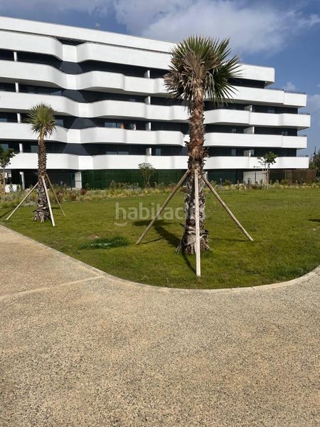 Foto 7398c2d9-70dc-45ed-8f32-81d746b9806f. Ático en Los Álamos Torremolinos