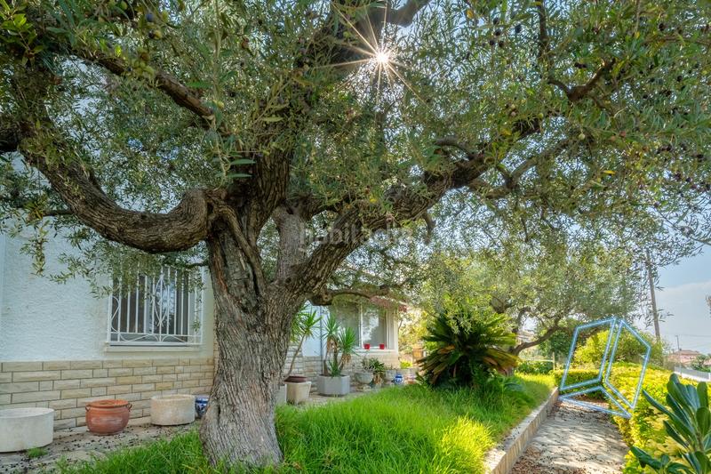 Foto b6824c31-b5ff-484f-99db-342794ca79ba. Maison avec chauffage parking dans Mas Trader-Corral d´En Tort-Corral d´En Cona Cubelles