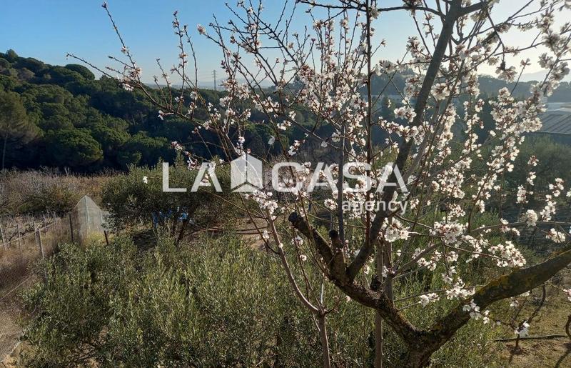 Foto e35d5e10-7630-4d6a-a06e-f43f83dbfcfc. Terreny residencial a Zona Industrial Granollers