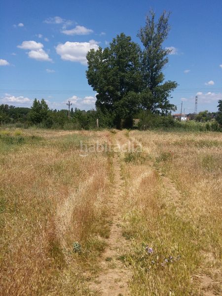 Foto 79a94e89-e908-4658-bf89-351a93d1cddd. Finca rústica a San Andrés del Rabanedo pueblo San Andrés del Rabanedo