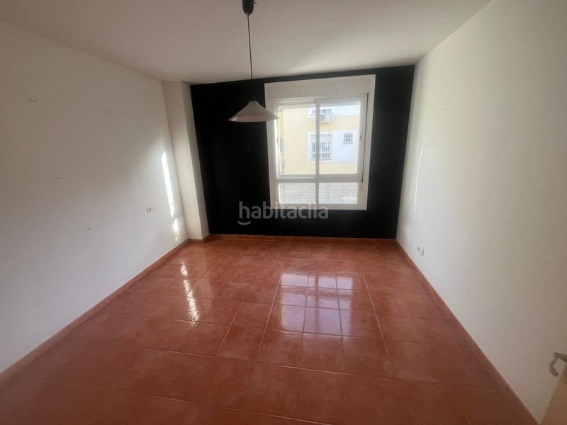 Foto d9ba8f4b-72b6-4d03-aafb-03f7e6763475. Pis a Algaba (La)