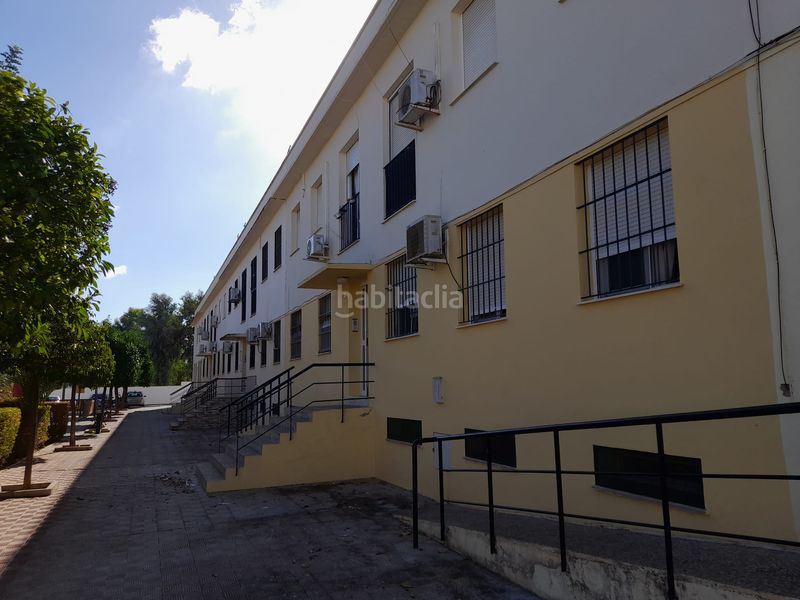Foto 874749cc-b425-4dae-9240-696fb6619e5d. Pis a Marchena