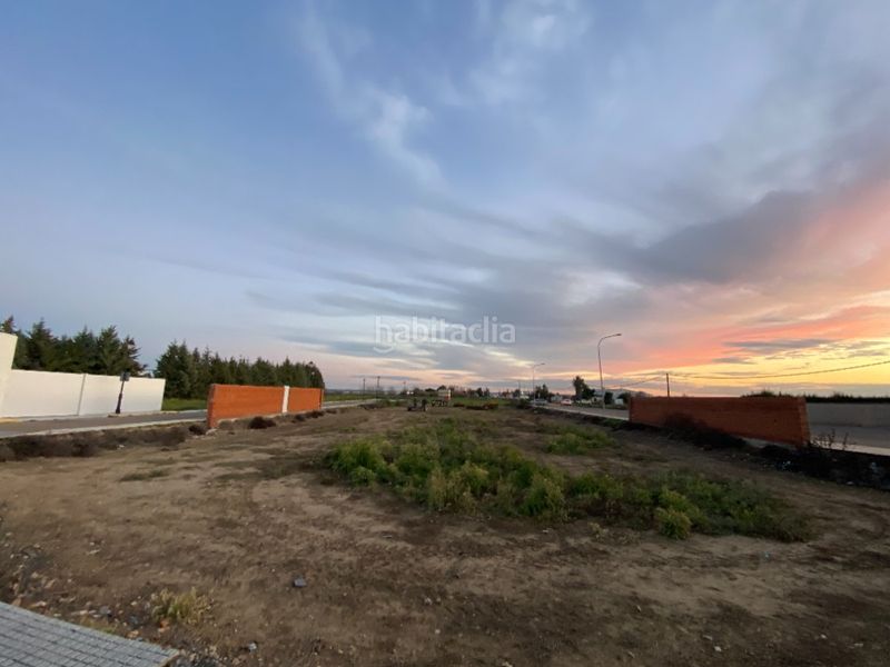 Foto bdf5acfb-c9df-418a-ac10-652de7288f60. Finca rústica a Montijo