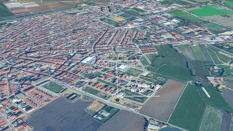 Foto ce11ee6c-d4e7-4da5-84b1-3e570e6805a7. Finca rústica a Montijo