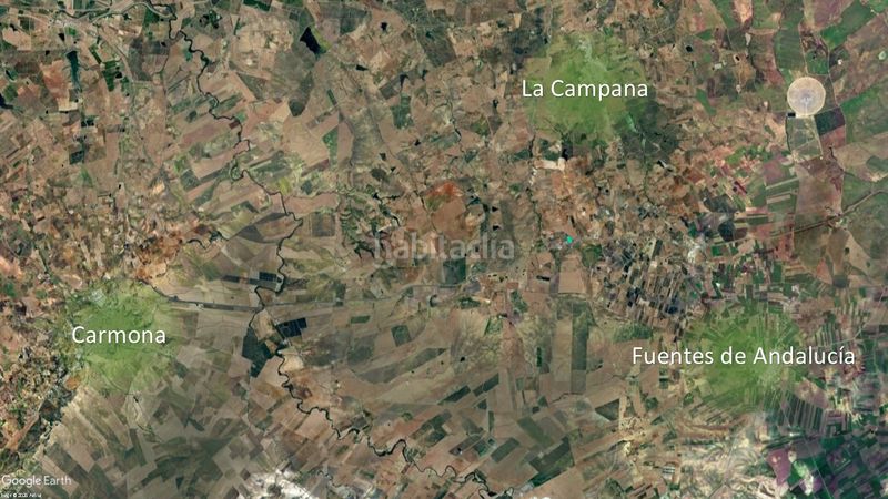 Foto da4906fd-93e8-4f89-bb20-dad8fc266cc7. Finca rústica a Campana (La)