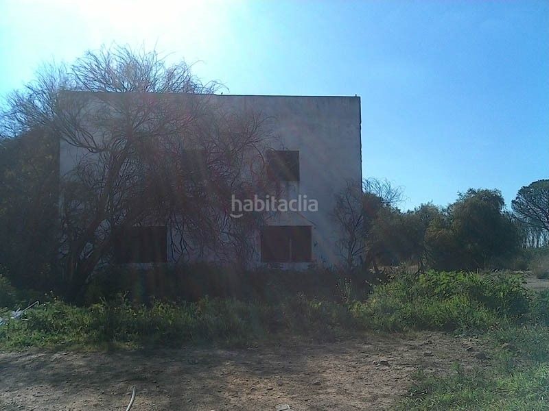 Foto f5ceac16-2e89-4e1d-984e-3d5b6657d53b. Finca rústica a Campana (La)