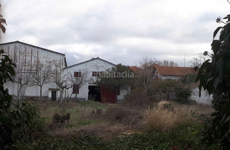 Foto 1f50fc1d-ddf0-495b-a0be-f953e2067532. Edifici a Peralta