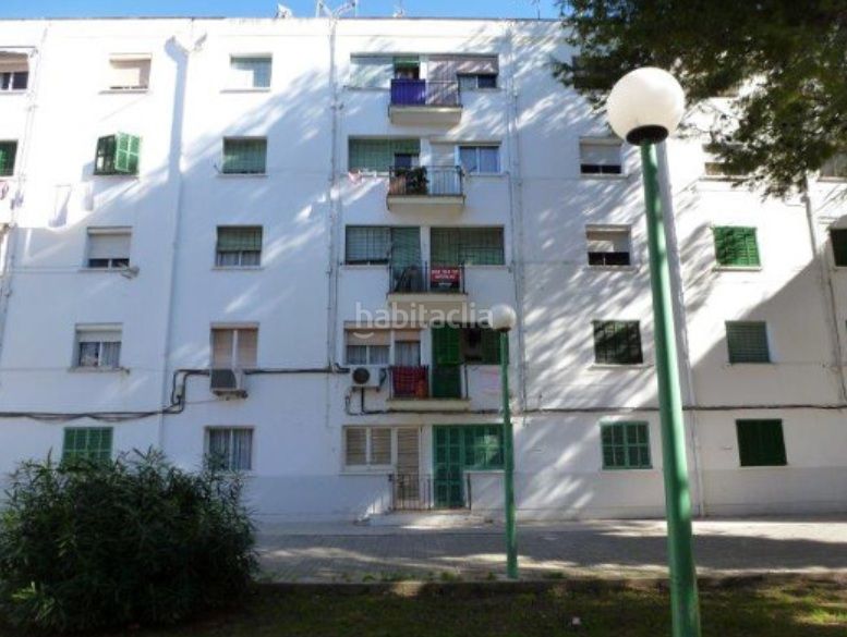 Foto bc8b9a2b-370a-4ef4-93e4-a9232b954bc4. Pis a Son Gotleu Palma de Mallorca