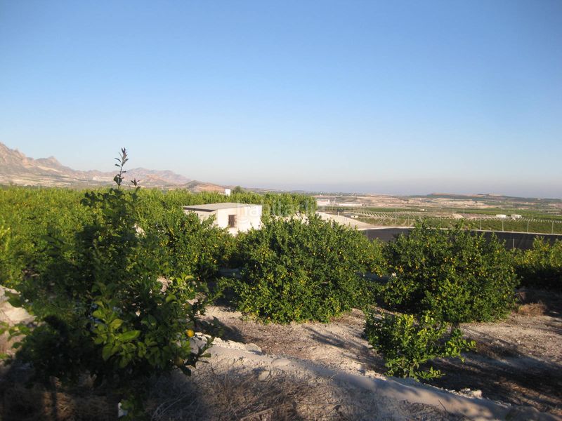 Foto 00a2a153-82a9-418d-ba2f-86b5bdc3e267. Finca rústica solvia inmobiliaria terreno con edificación en Abanilla