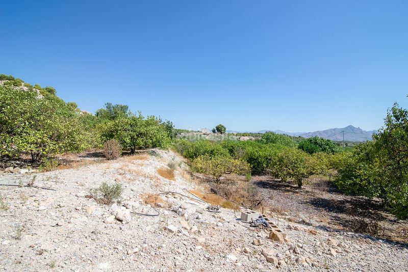 Foto 61d075e9-ad99-495b-90cc-b9845d028c81. Finca rústica solvia inmobiliaria terreno con edificación en Abanilla