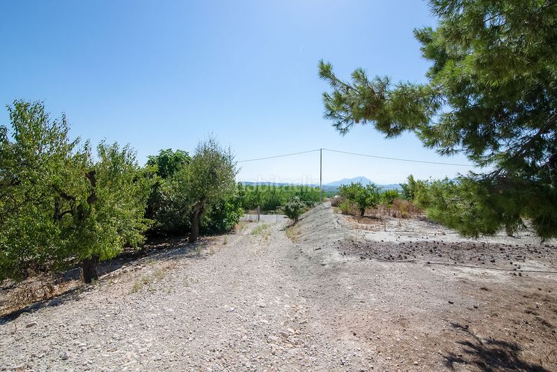 Foto 7340d210-8e90-46db-9cf6-7dd6e0e36490. Finca rústica solvia inmobiliaria terreno con edificación en Abanilla