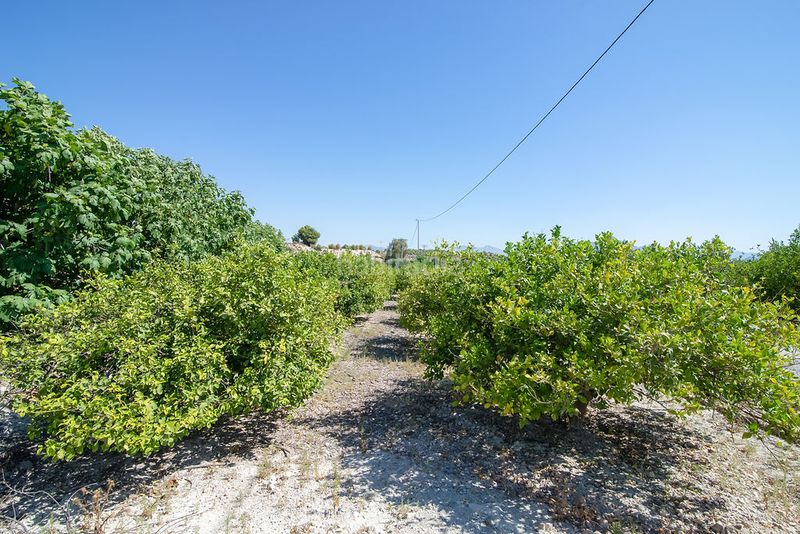 Foto 7d80c4c0-e160-45e9-b02d-1c0b9833e82a. Finca rústica solvia inmobiliaria terreno con edificación en Abanilla