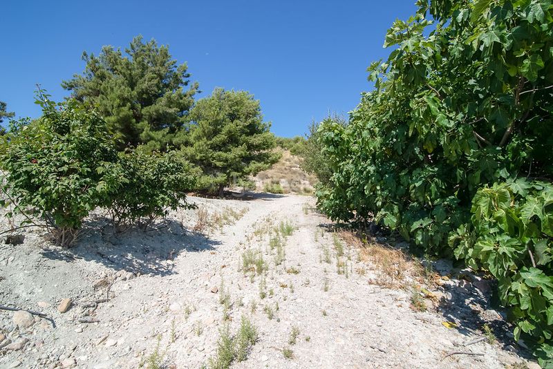 Foto b9238646-08a2-4b31-b29b-300347348549. Finca rústica solvia inmobiliaria terreno con edificación en Abanilla