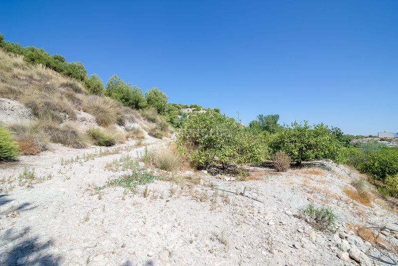 Foto cfd875e1-4c6a-4a81-b414-06d5152843d6. Finca rústica solvia inmobiliaria terreno con edificación en Abanilla