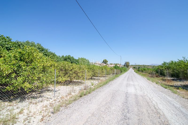 Foto d1414b25-8e9a-44ea-aab0-0b9653cf3899. Finca rústica solvia inmobiliaria terreno con edificación en Abanilla