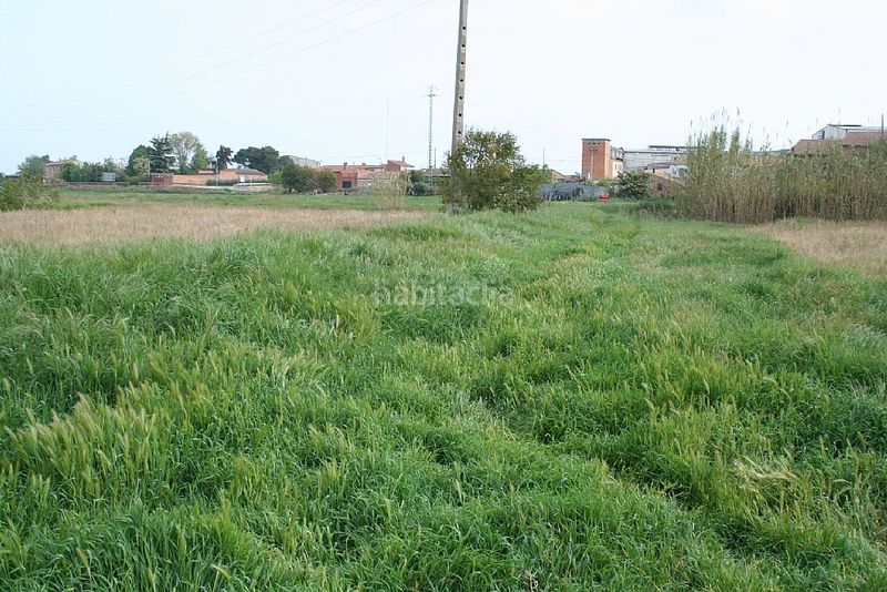 Foto 0e7e29bf-1f76-448d-be96-24672e05089c. Finca rústica a Benavent de Segrià