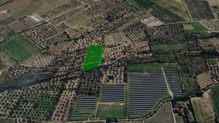 Finca rústica  Ptda mangrane. Solvia inmobiliaria  suelo rústico ulldecona
