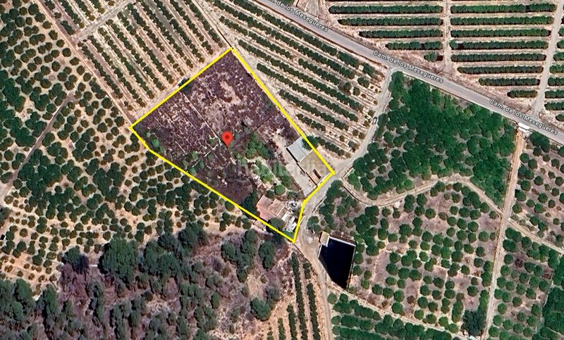 Foto 62b1794a-5cfc-44a2-8908-a2130b238ee7. Finca rústica a Santomera