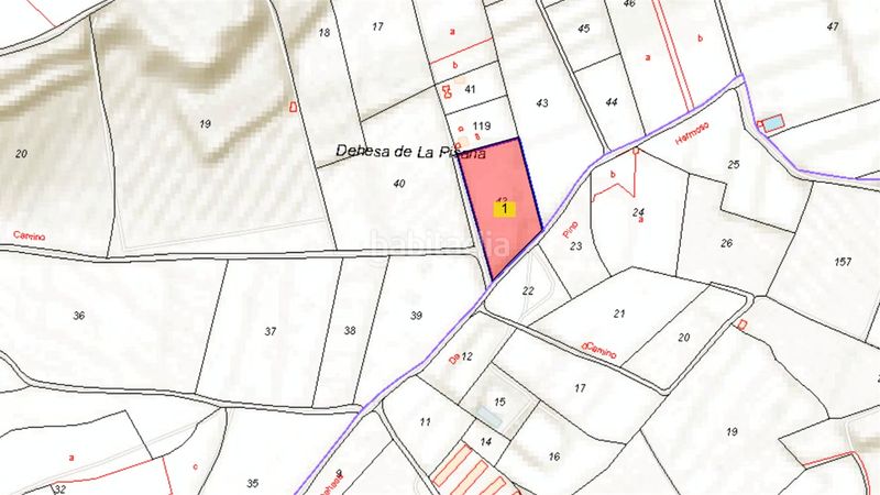 Foto 29c3ea96-c332-4795-b6c2-2184b7834be1. Finca rústica a Desamparados - Hurchillo - Torremendo Orihuela