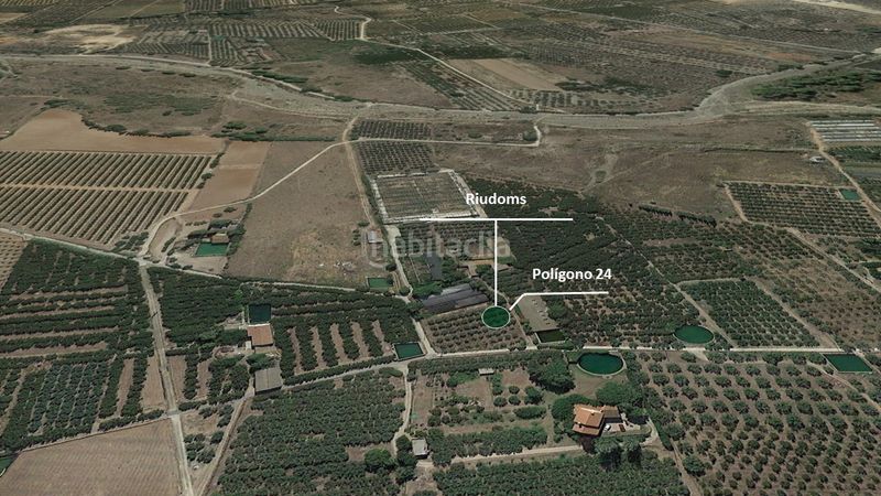 Foto 4a6b732e-0d70-4d9c-9d36-618408649b4a. Finca rústica a Riudoms