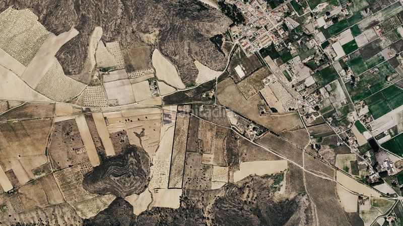 Foto e1bd7dc0-e02b-437e-96d2-d935323136ec. Finca rústica a Las Virtudes Villena