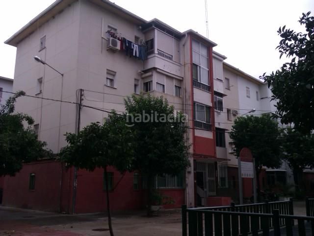 Foto 814bfd25-3aa9-426f-97ce-b544d341f940. Pis a El Tardón - El Carmen Sevilla