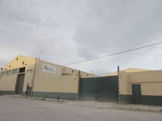 Fabrikhalle  C/ teresa de calcuta. Solvia inmobiliaria  nave industrial quart de poblet