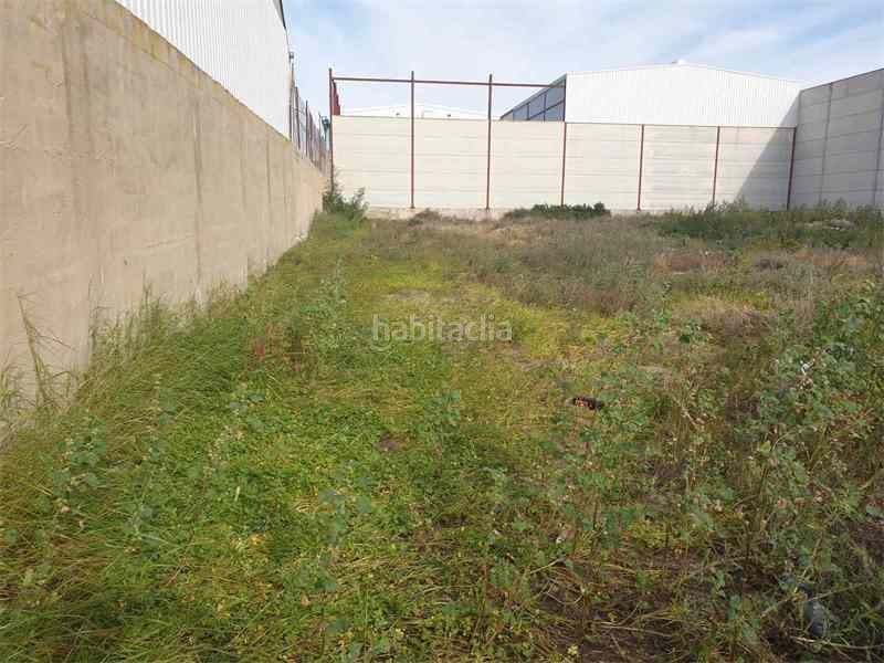 Foto 1fa5ec4b-2d64-4214-8db6-b9d57d2c7de6. Finca rústica a San Isidro - Campohermoso Níjar