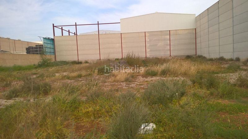 Foto 242cd41b-abdb-4a46-8450-a56525d6b02f. Finca rústica a San Isidro - Campohermoso Níjar
