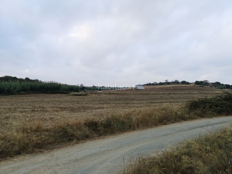 Foto b9649d3d-fbed-4093-86ab-94ee4fff2ec7. Finca rústica a Palma del Condado (La)