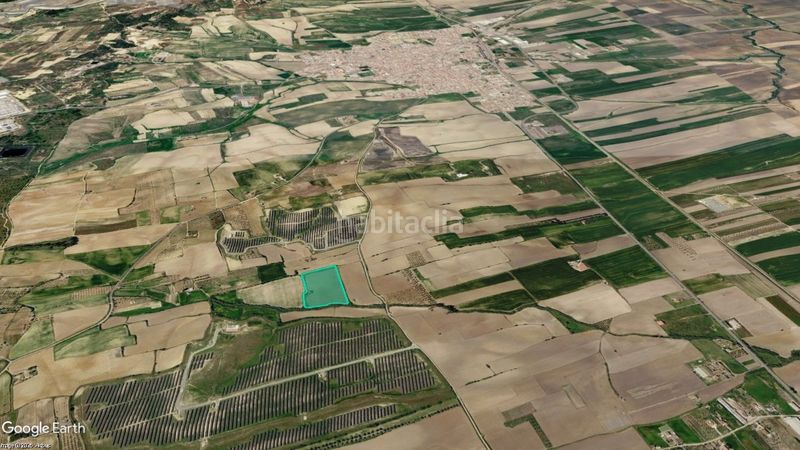 Foto ddfd4533-b325-4980-98c9-c6f4570f1d71. Finca rústica a Palma del Condado (La)