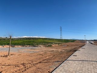 Finca rústica  Urb. la nativa. Solvia inmobiliaria  suelo urbanizable albolote