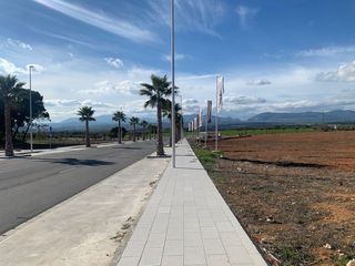 Finca rústica  Urb. la nativa. Solvia inmobiliaria  suelo urbanizable albolote